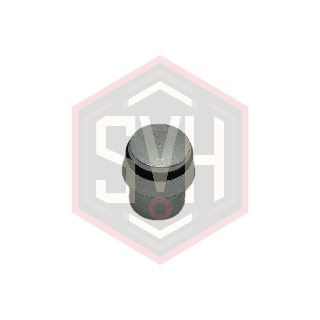  BLANKING PLUG INSERT 20S  - DIN 2353 