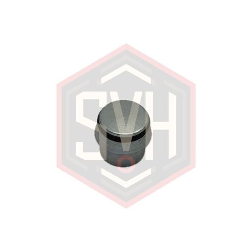 [107310]  BLANKING PLUG INSERT 22L/S - DIN 2353 