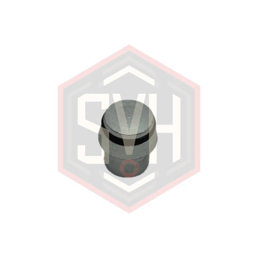 [107320]  BLANKING PLUG INSERT 20S  - DIN 2353 